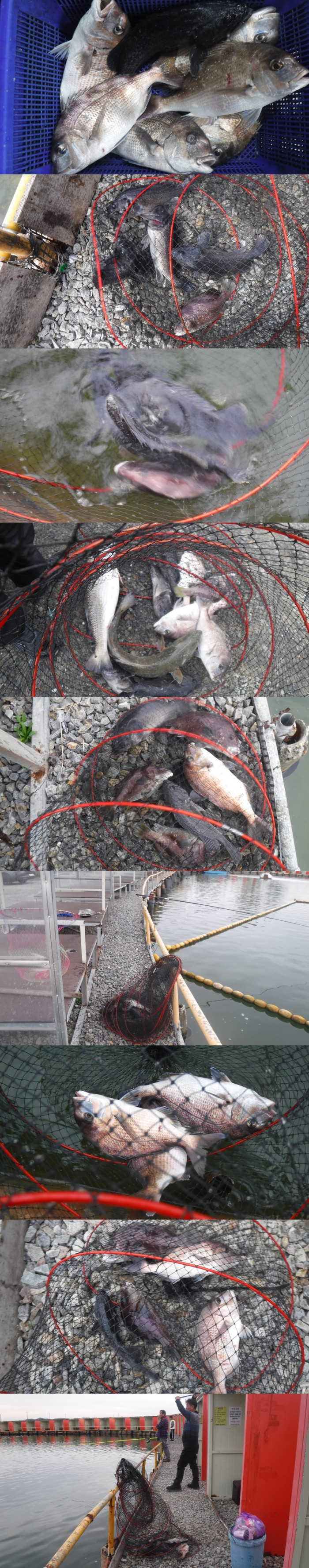 29166503b8d791ed30f7c9571ead5828_1761034