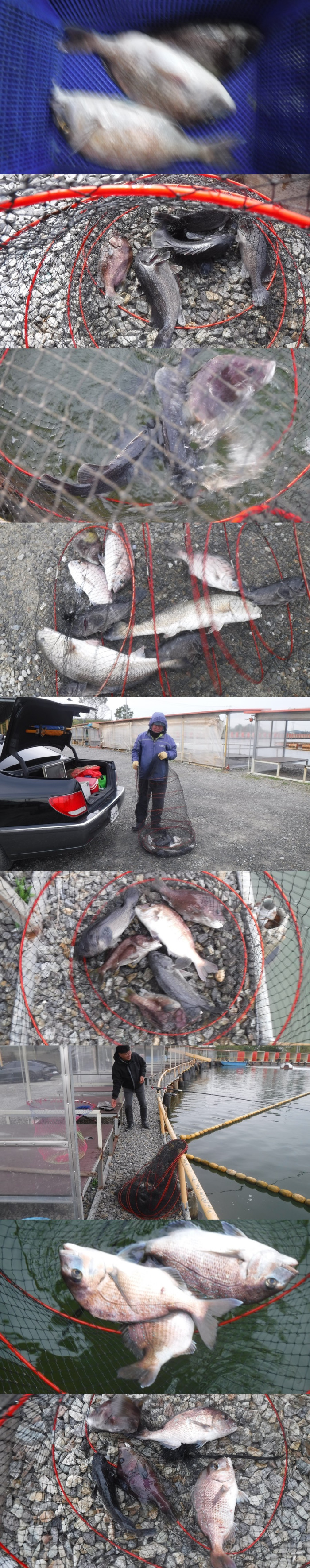 29166503b8d791ed30f7c9571ead5828_1761034