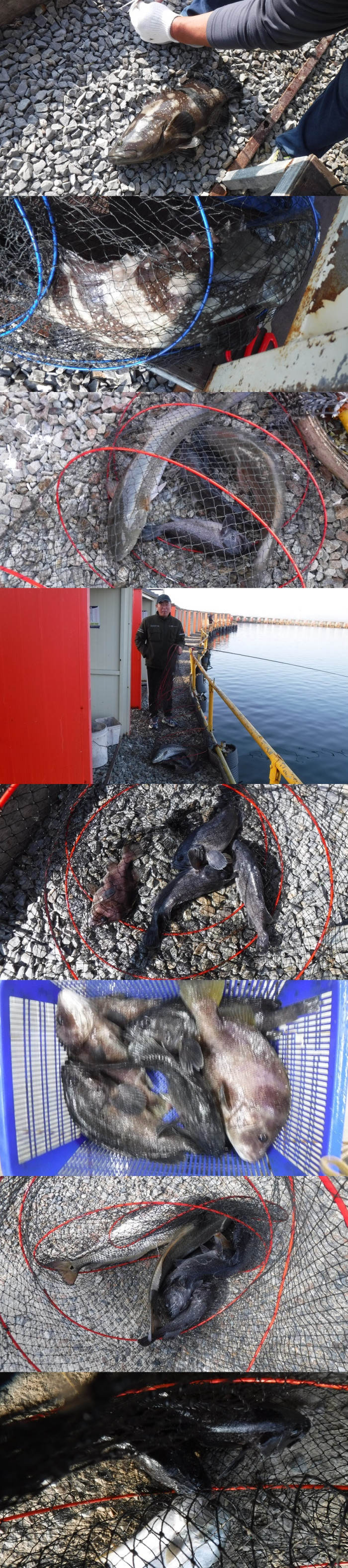 29166503b8d791ed30f7c9571ead5828_1761140