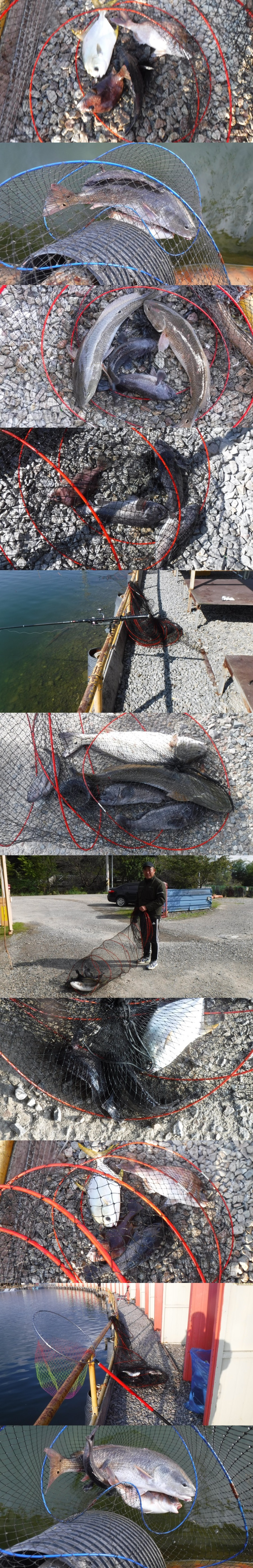 29166503b8d791ed30f7c9571ead5828_1761140