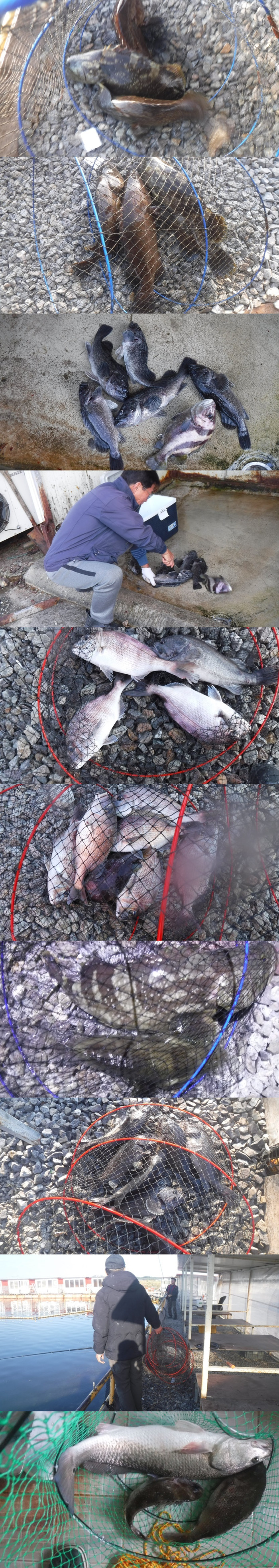 29166503b8d791ed30f7c9571ead5828_1761293