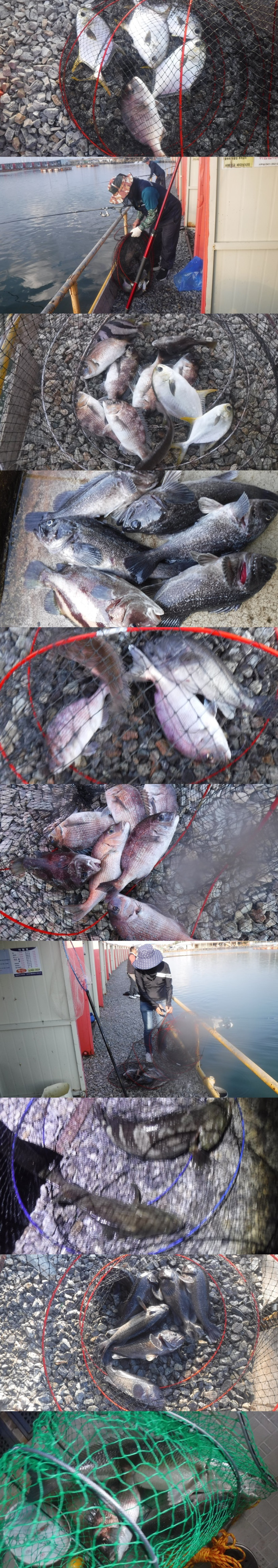 29166503b8d791ed30f7c9571ead5828_1761293