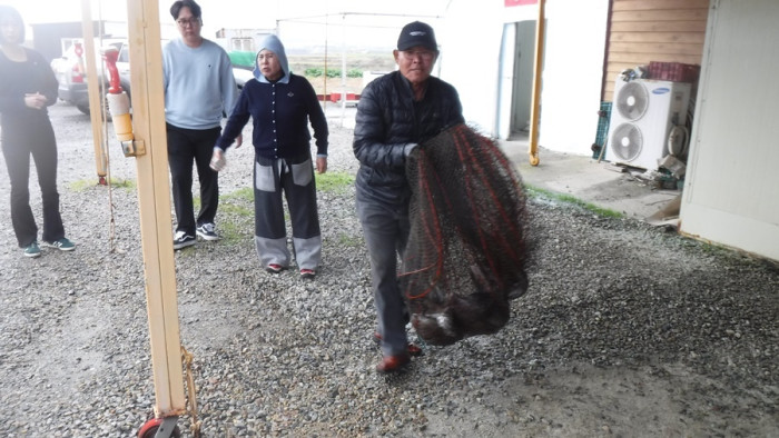 29166503b8d791ed30f7c9571ead5828_1761466