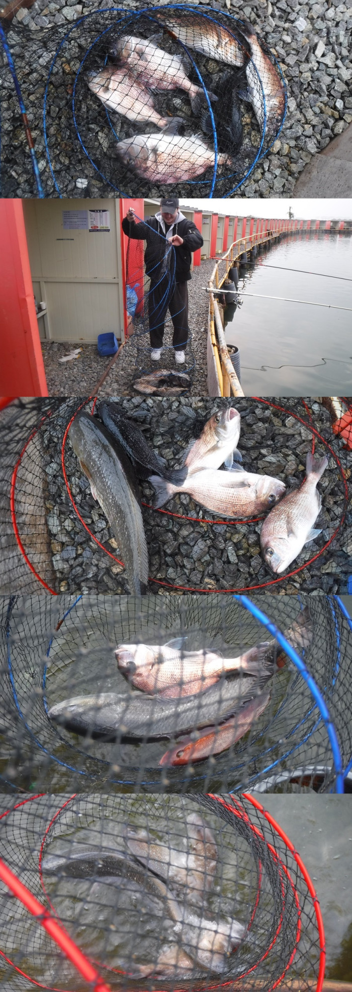 29166503b8d791ed30f7c9571ead5828_1761466