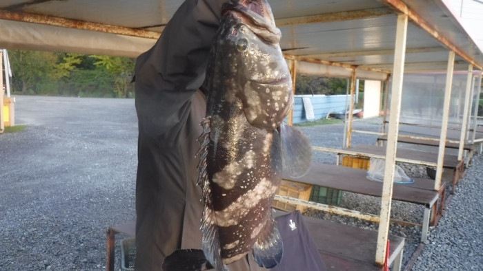 29166503b8d791ed30f7c9571ead5828_1761554