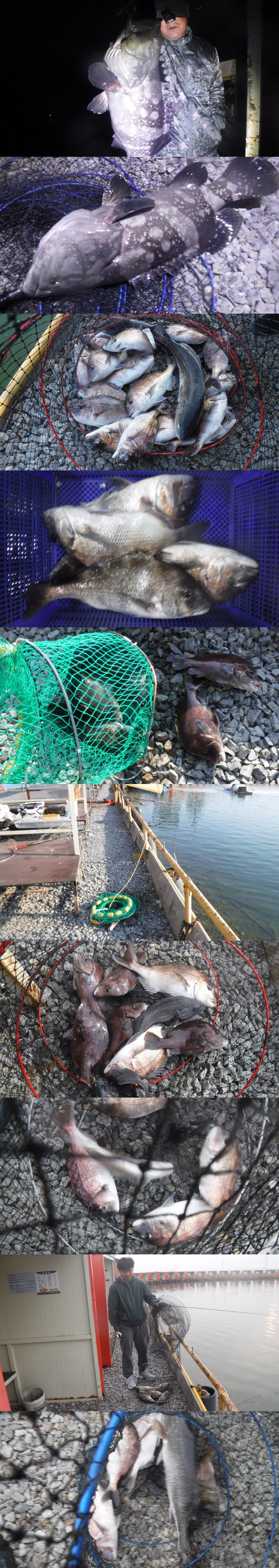 f0915aedeb39c26a3e7f22b380ed8c81_1761810