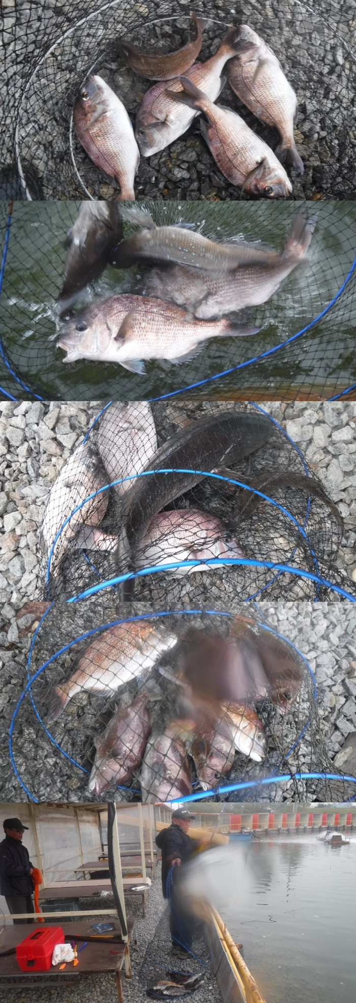 f0915aedeb39c26a3e7f22b380ed8c81_1761810