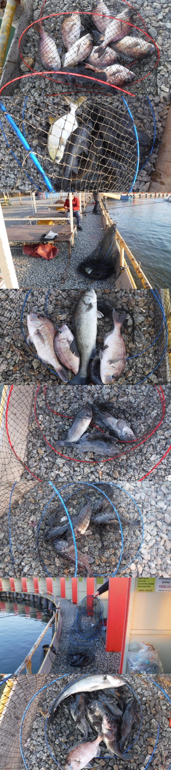 1f2817cef5a6e2dde88ba48a4b62cde2_1763802