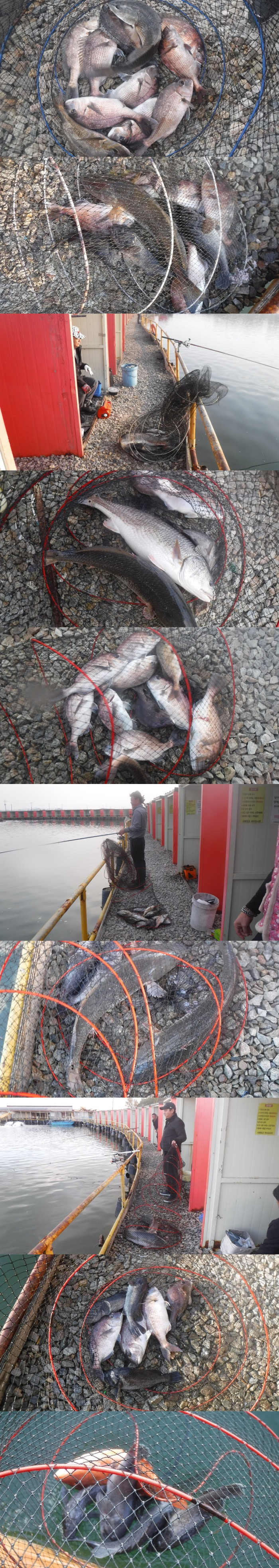 36738e0f539832fe134fe8327ce0f3e0_1761984