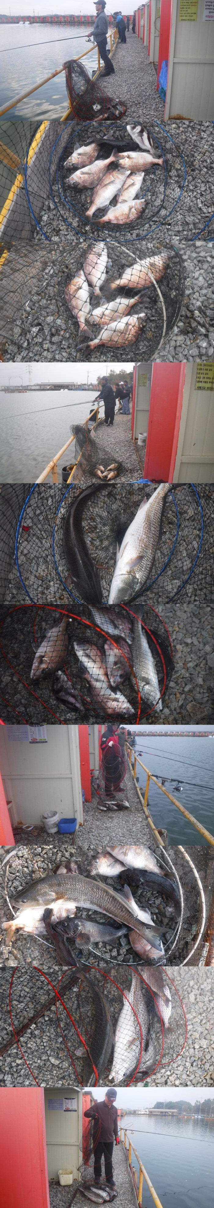 36738e0f539832fe134fe8327ce0f3e0_1761984