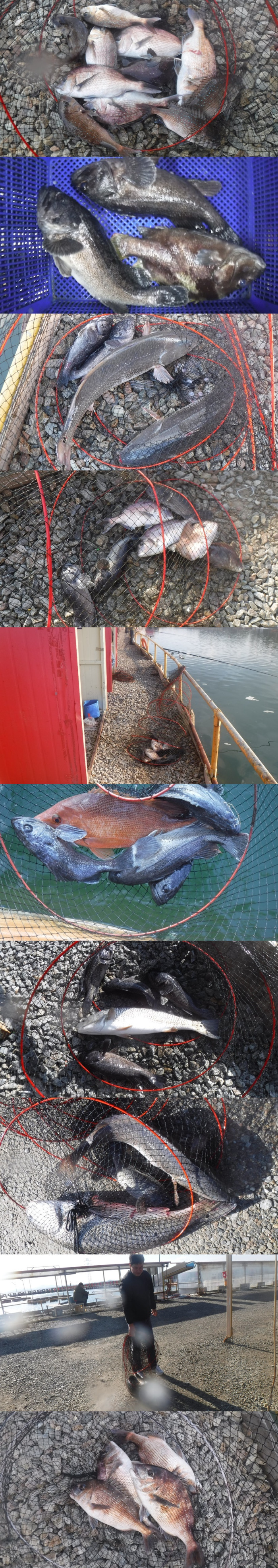 36738e0f539832fe134fe8327ce0f3e0_1761984