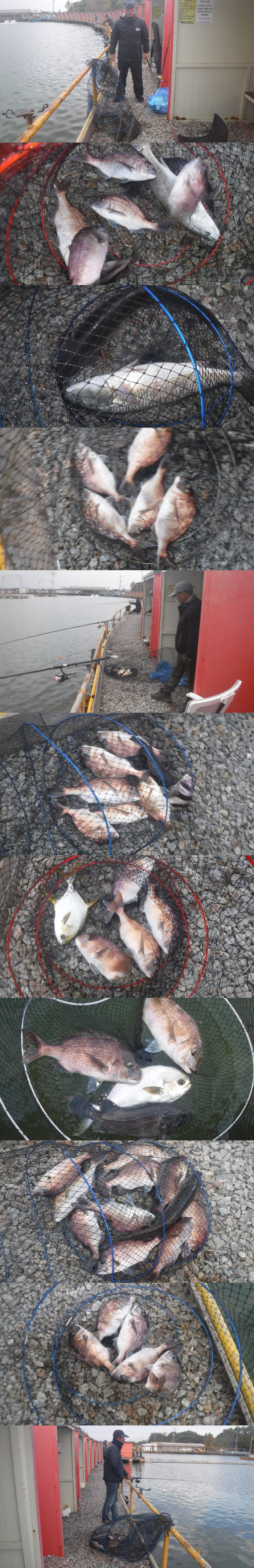 36738e0f539832fe134fe8327ce0f3e0_1761984