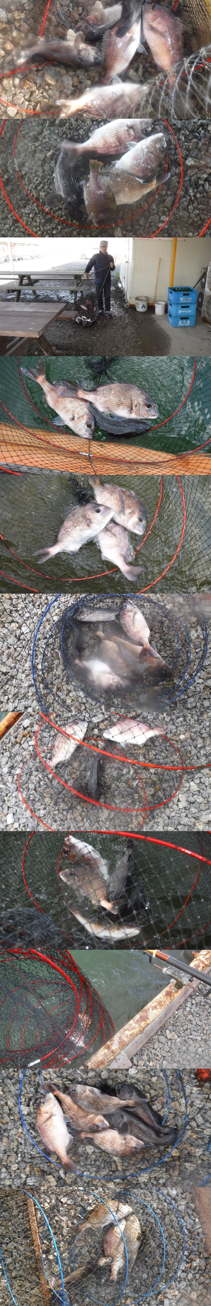 36738e0f539832fe134fe8327ce0f3e0_1762070