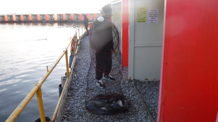 3b1fd6298cebc5c49b14b4fd37ab3594_1763023