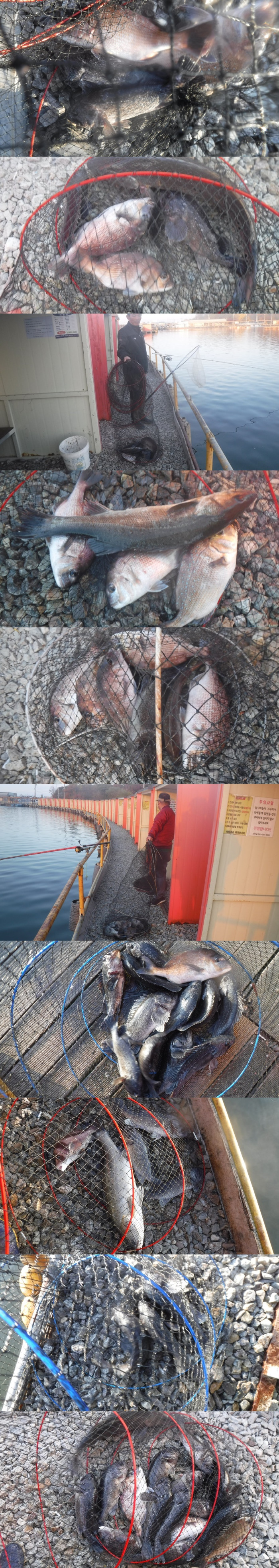 3b1fd6298cebc5c49b14b4fd37ab3594_1763023