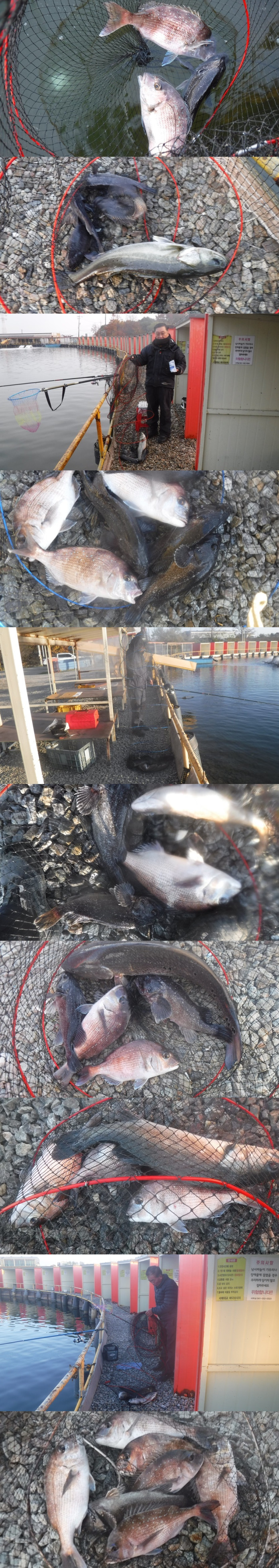 3b1fd6298cebc5c49b14b4fd37ab3594_1763023