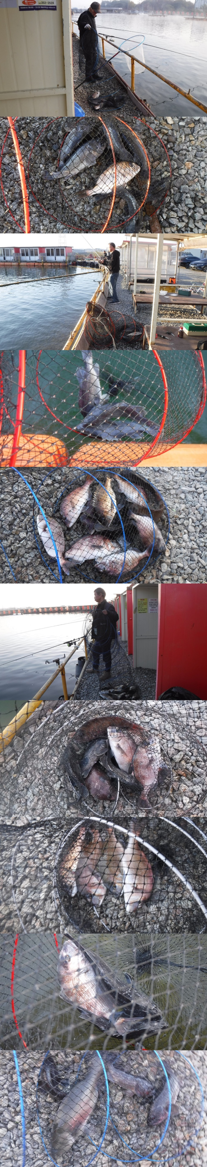 3b1fd6298cebc5c49b14b4fd37ab3594_1763196