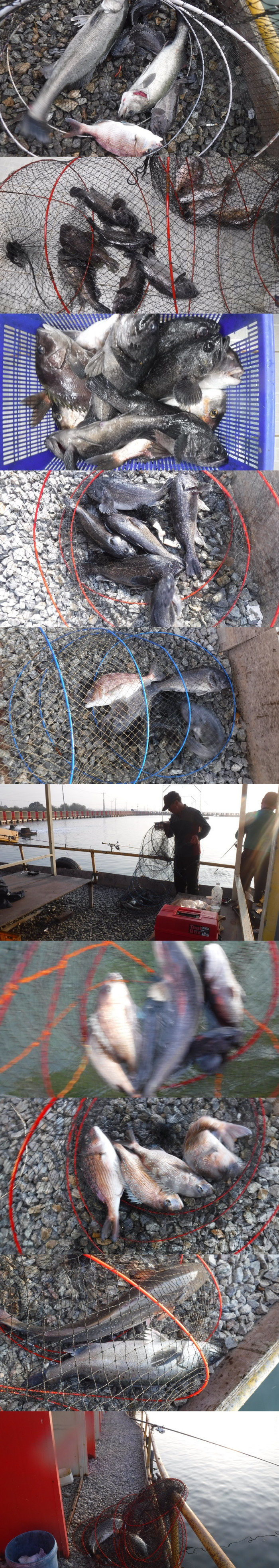 48daa086f8024ee811eede3fd2679ba6_1762502