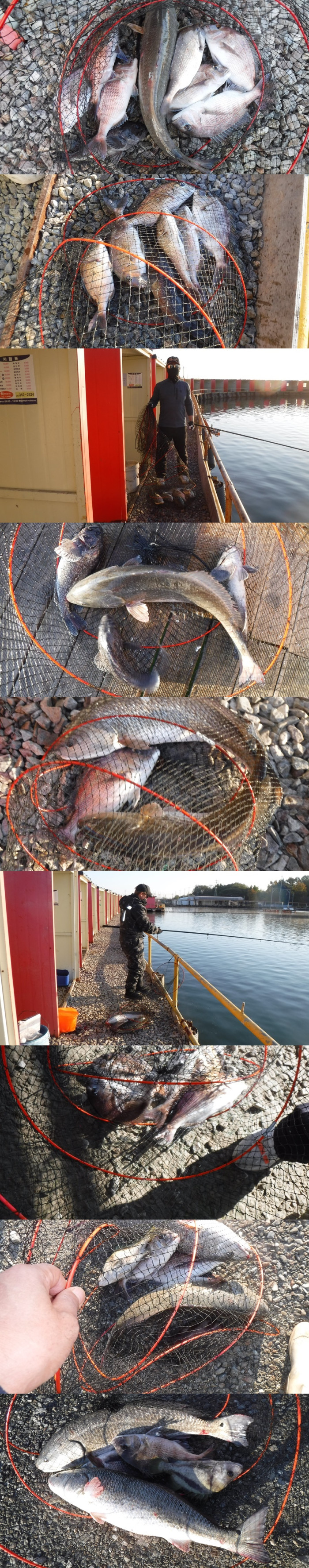 4f3d815c4ef5eee7467cad1cb0ca8065_1762160