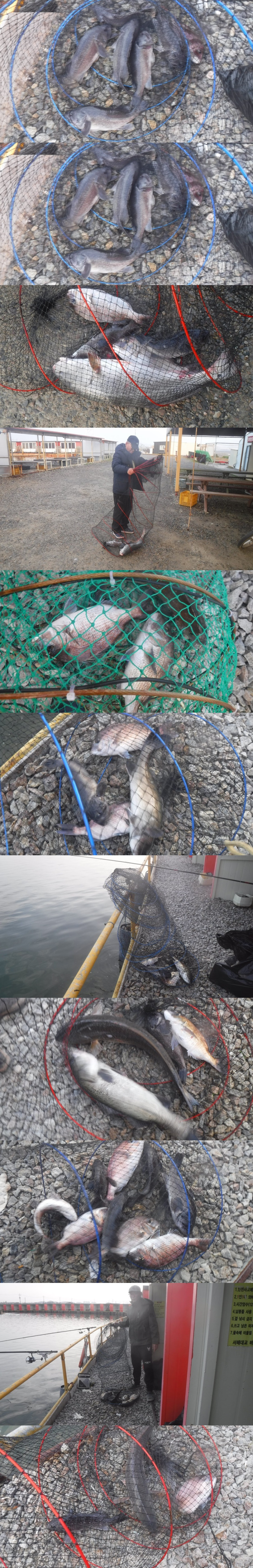 77e96c2b94a3e3fc1439b9e711f287dc_1762676