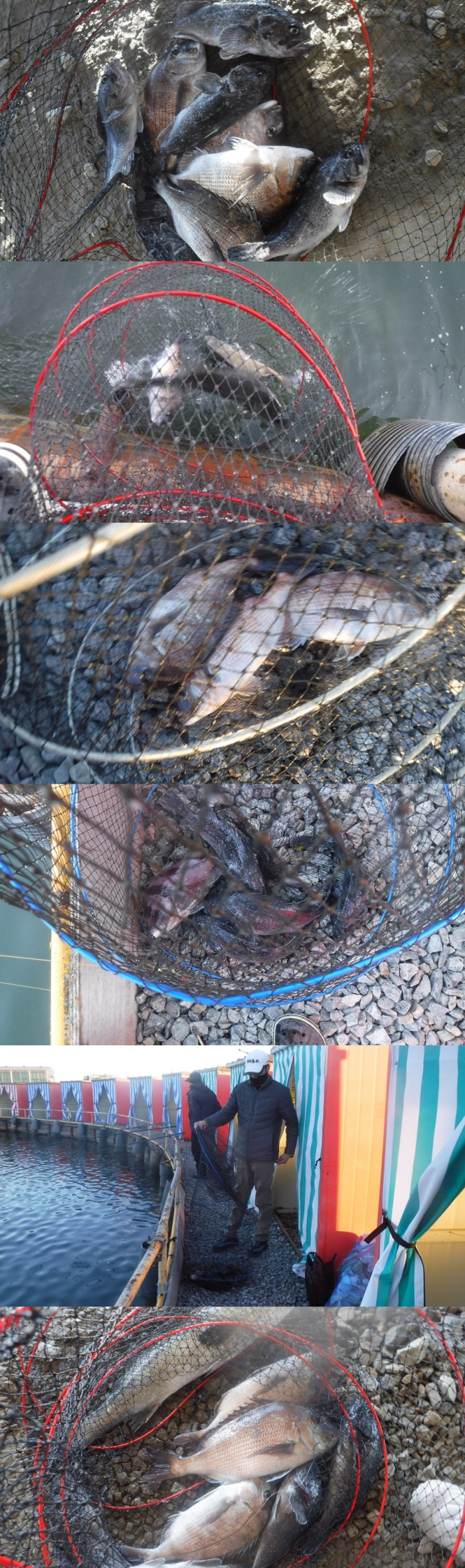 881a84ab67e7bfc56ae4d74db3c630f8_1764317