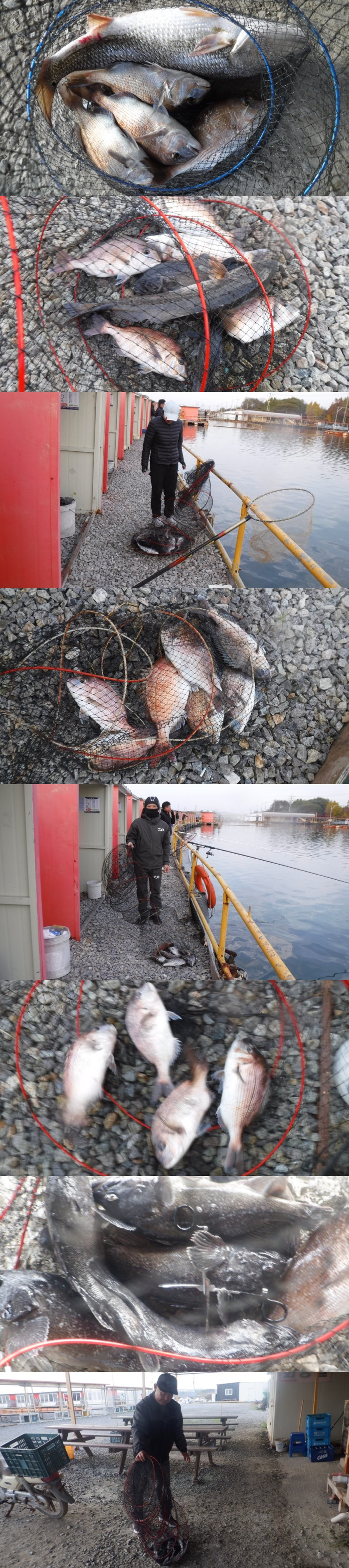 8d95152d5bf0395240b7a078dd59f8bd_1762851