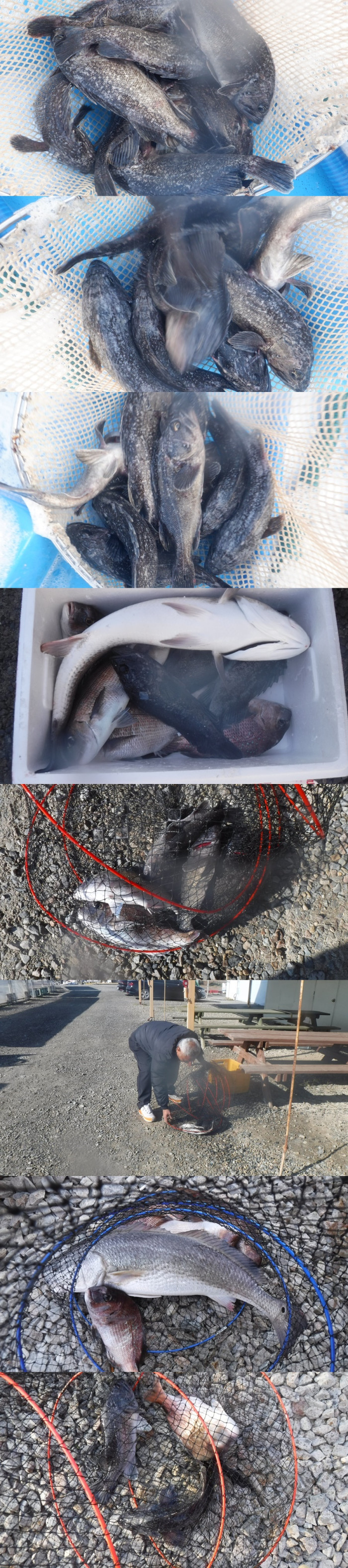 8f4295af531851b4a5226c12ce009708_1763454