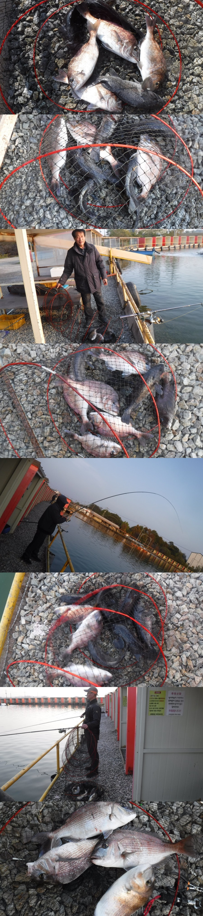 9ebe64f2b1fdee8df0a6789843e360fe_1762415