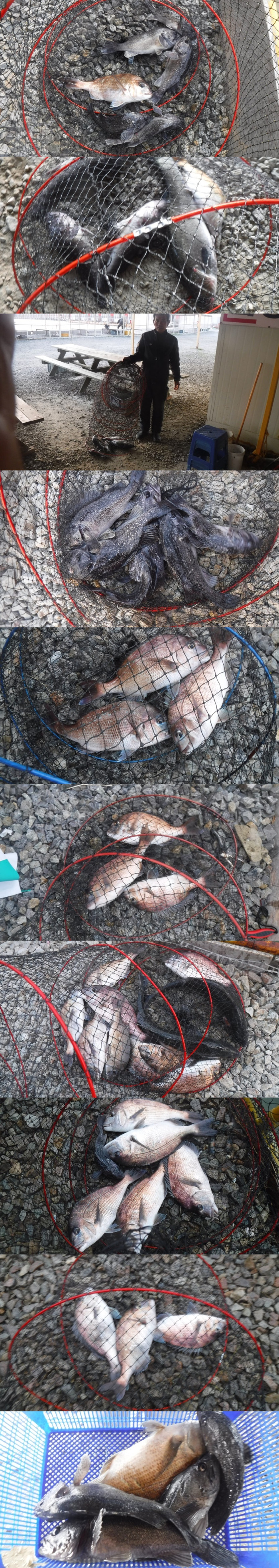 a15ea9c99d4fd1de453f9ae62e2ab211_1764148