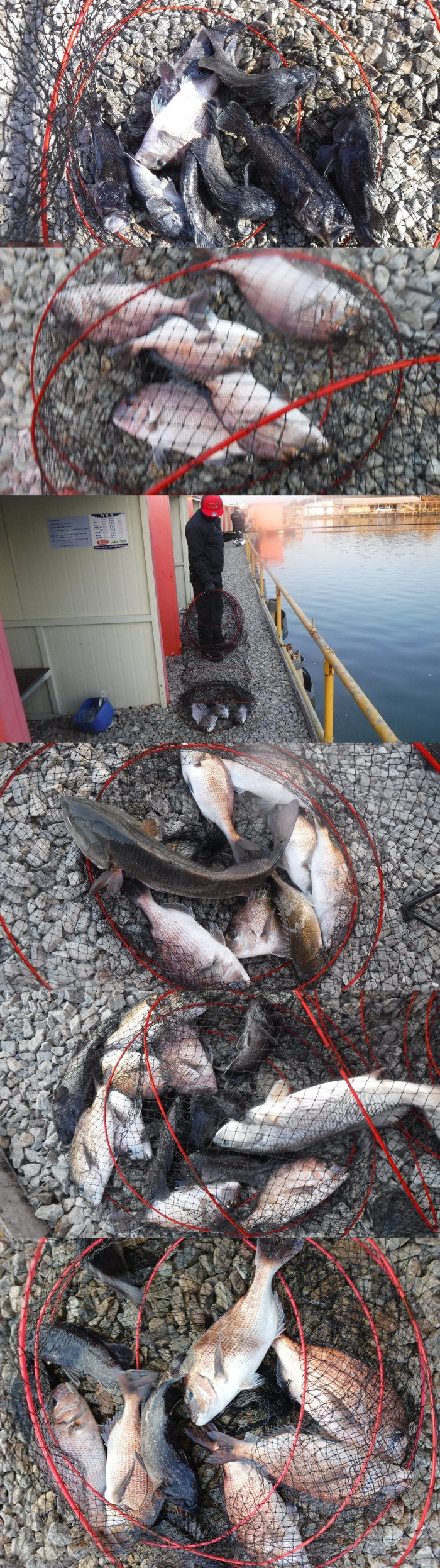 c16b1b4c11c015b89003195eb258110c_1763544