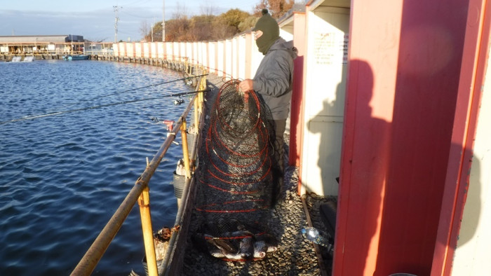 c16b1b4c11c015b89003195eb258110c_1763714