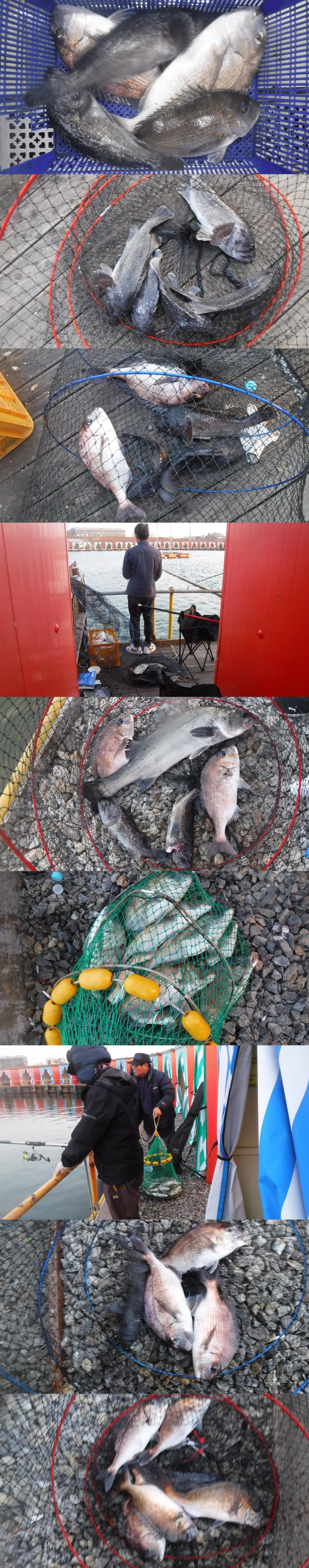 f8523e089b50d422b47a57bcf44c8d73_1764490