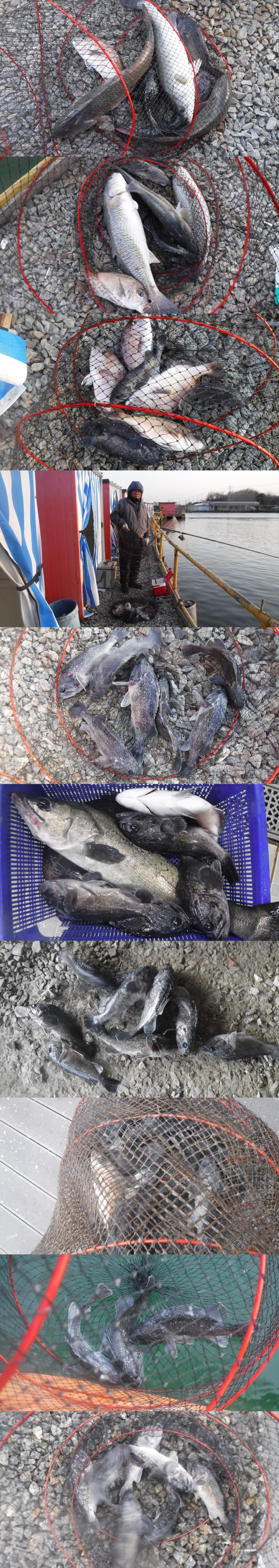 057d6e86af394015ec19d299b2347627_1764752