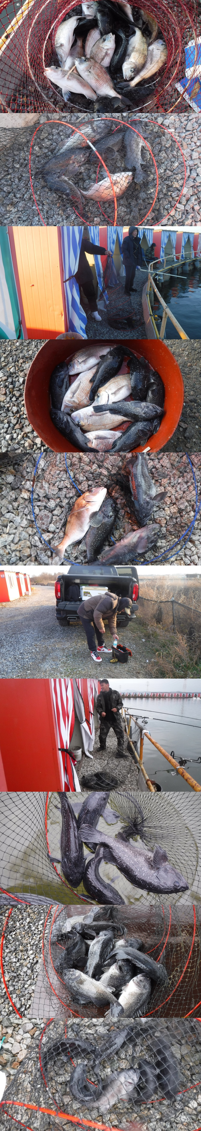 96659bb684ff2c673e7198866474c553_1765612