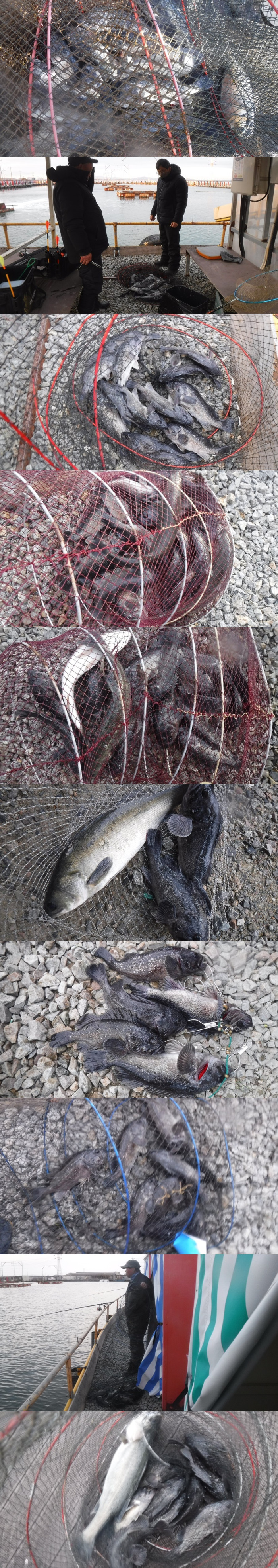 a4c2d35149145c21b7cafcf26c26650e_1765008