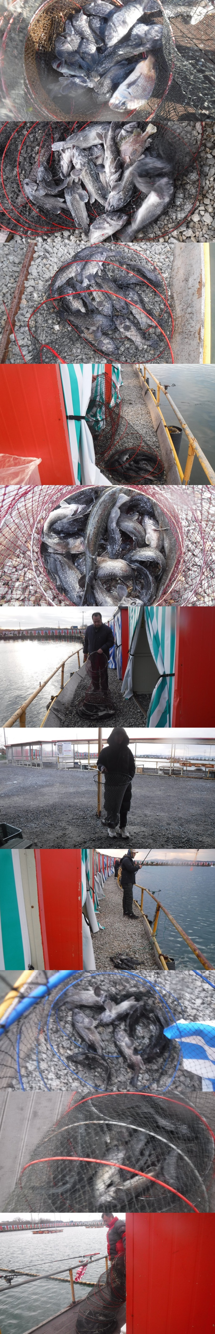 a4c2d35149145c21b7cafcf26c26650e_1765008