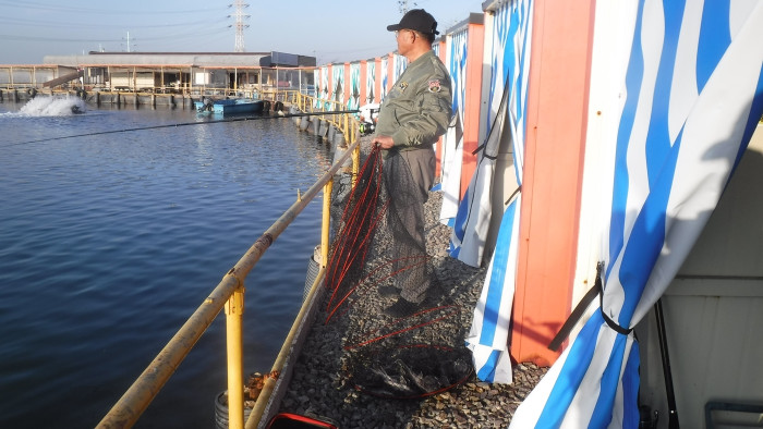 bb86191f63fc821a633719256b2bc573_1766217