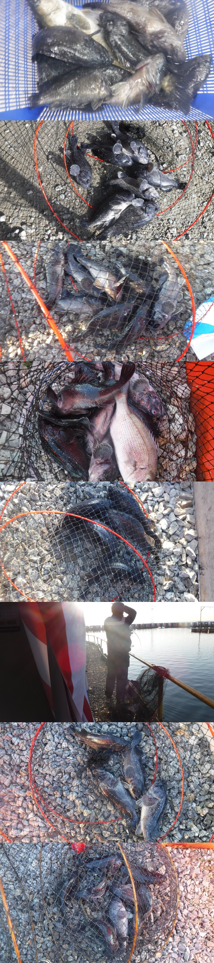 bb86191f63fc821a633719256b2bc573_1766217