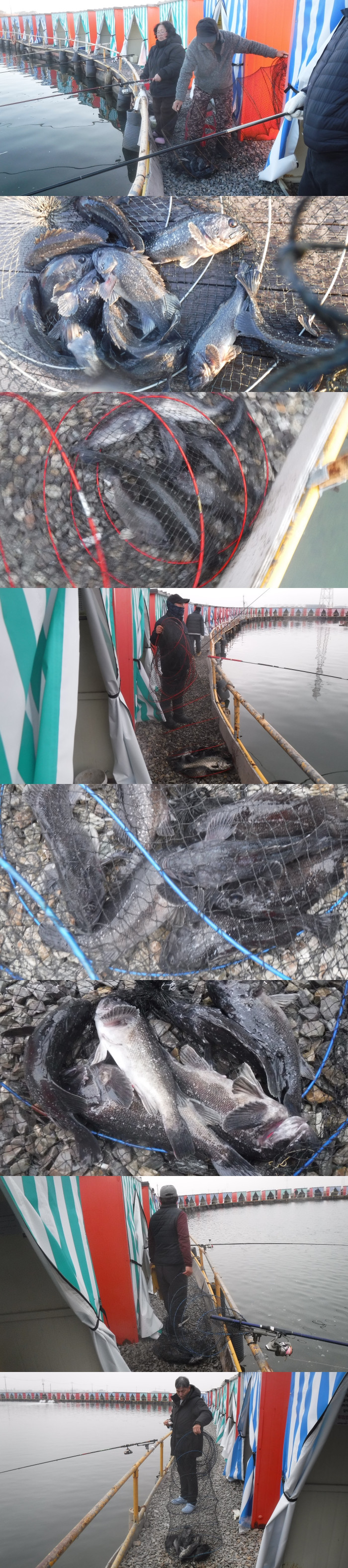 bb86191f63fc821a633719256b2bc573_1766217