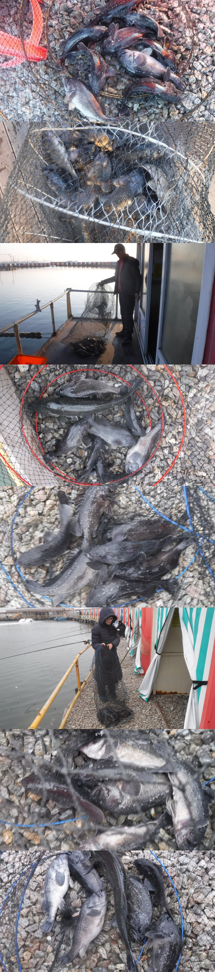 bb86191f63fc821a633719256b2bc573_1766217