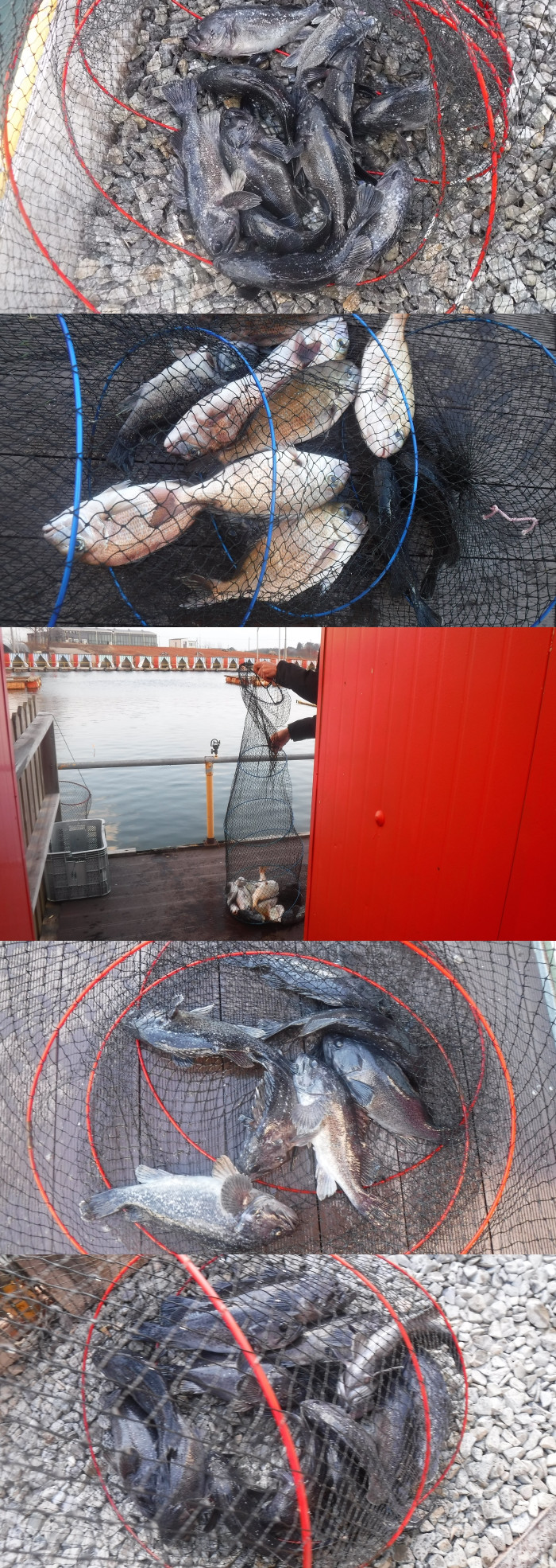 de1cb5525d5801c0a19ae861c79268cd_1765699