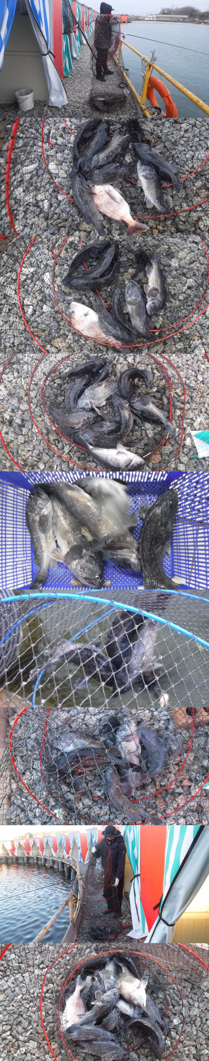 f70ea92a8431366dba514ca3457c02a9_1765368