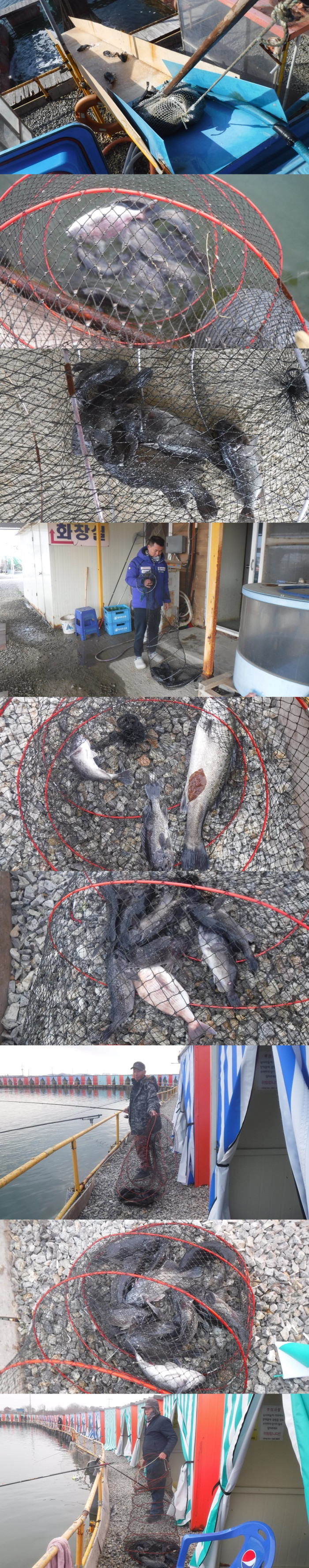 f70ea92a8431366dba514ca3457c02a9_1765368