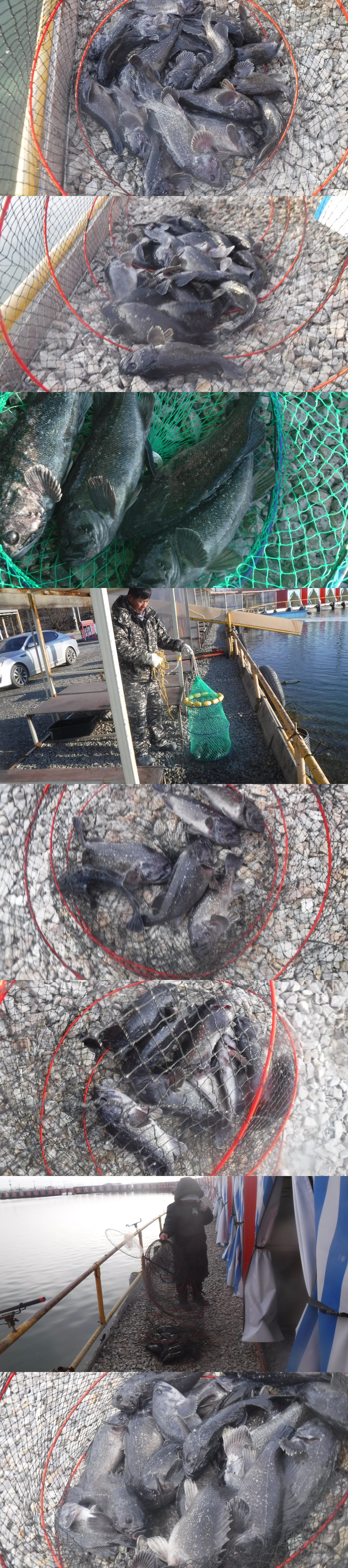 cd879781b5eca8325cf137e18000cc2e_1767339