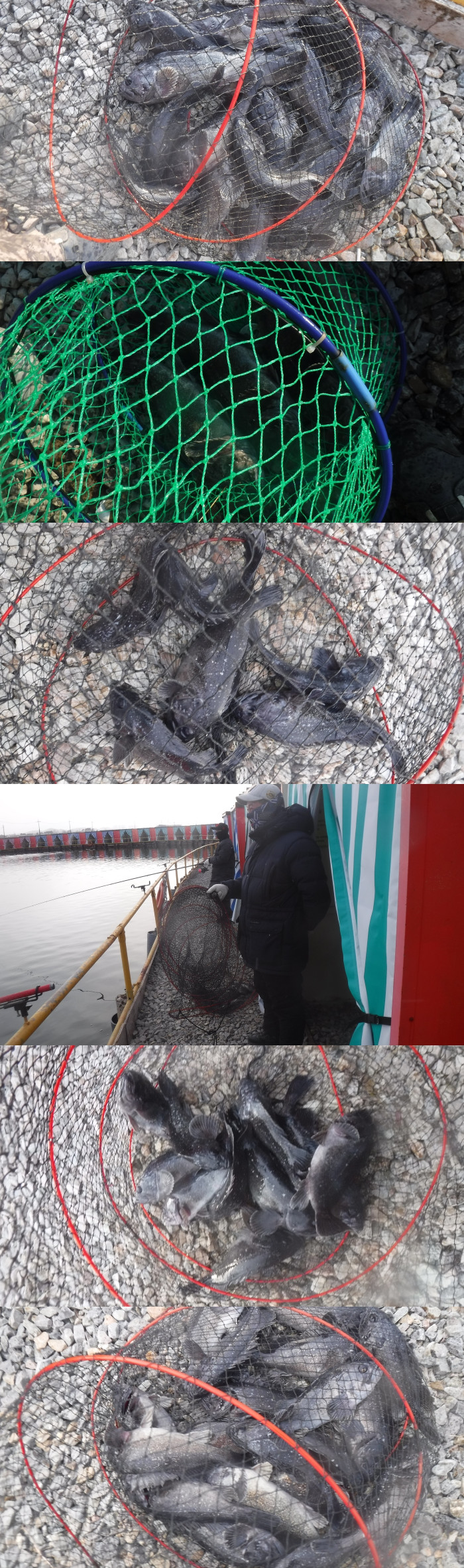 cd879781b5eca8325cf137e18000cc2e_1767339