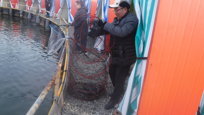 cd879781b5eca8325cf137e18000cc2e_1767514