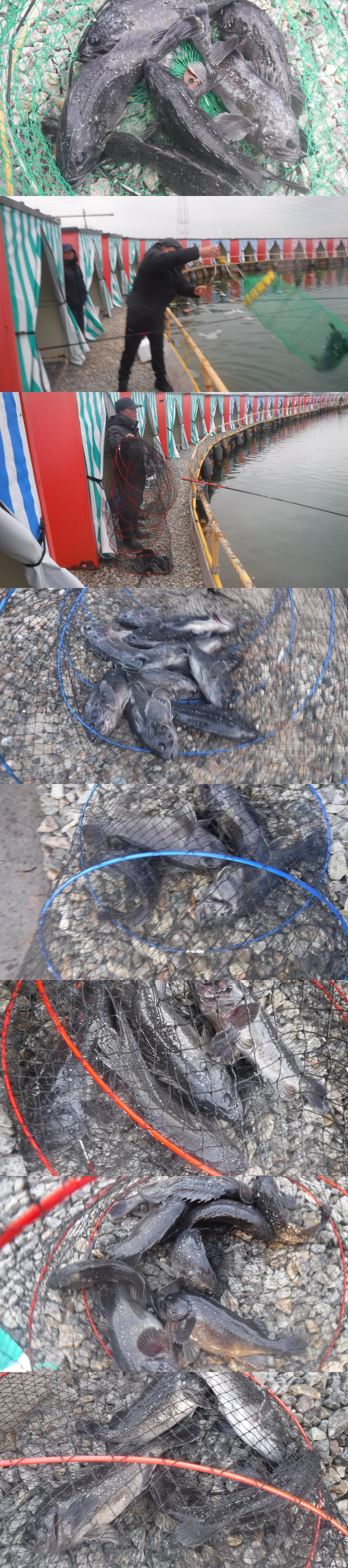 cd879781b5eca8325cf137e18000cc2e_1767514