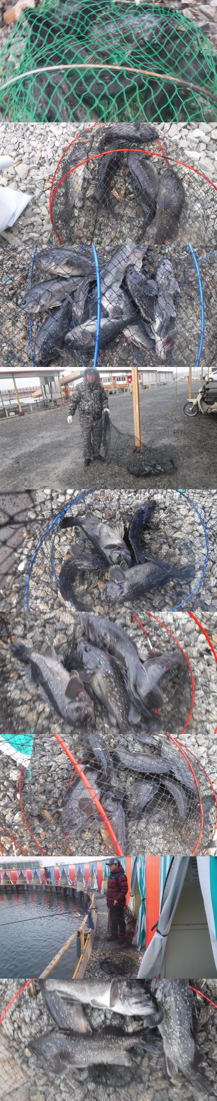 cd879781b5eca8325cf137e18000cc2e_1767514