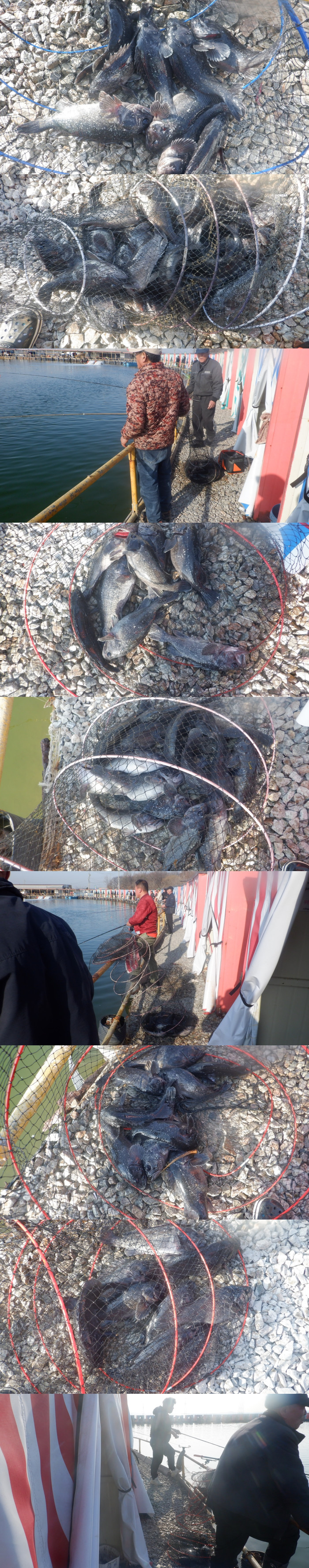 199f7329560f18721070b418623fa97f_1772275