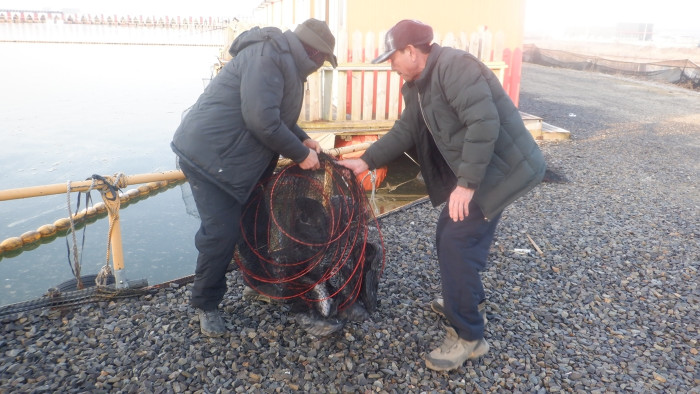 1d712d45e17c16c34e7c170b796e760a_1772243